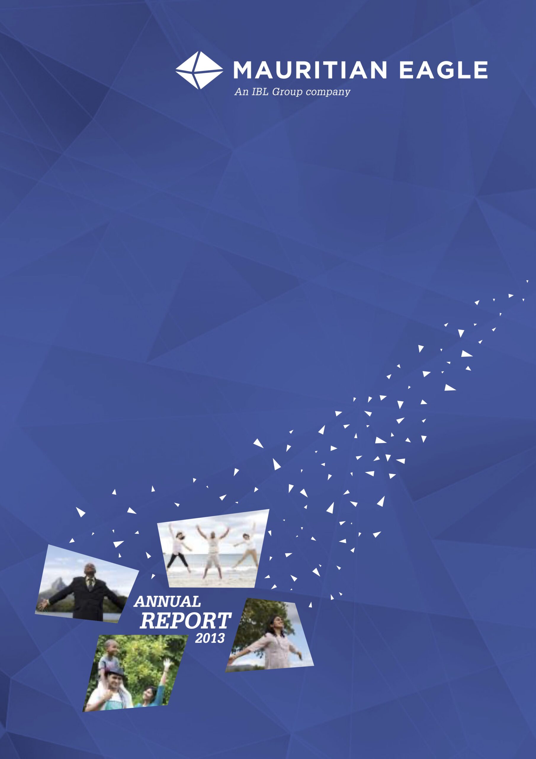 Annual Report 2013