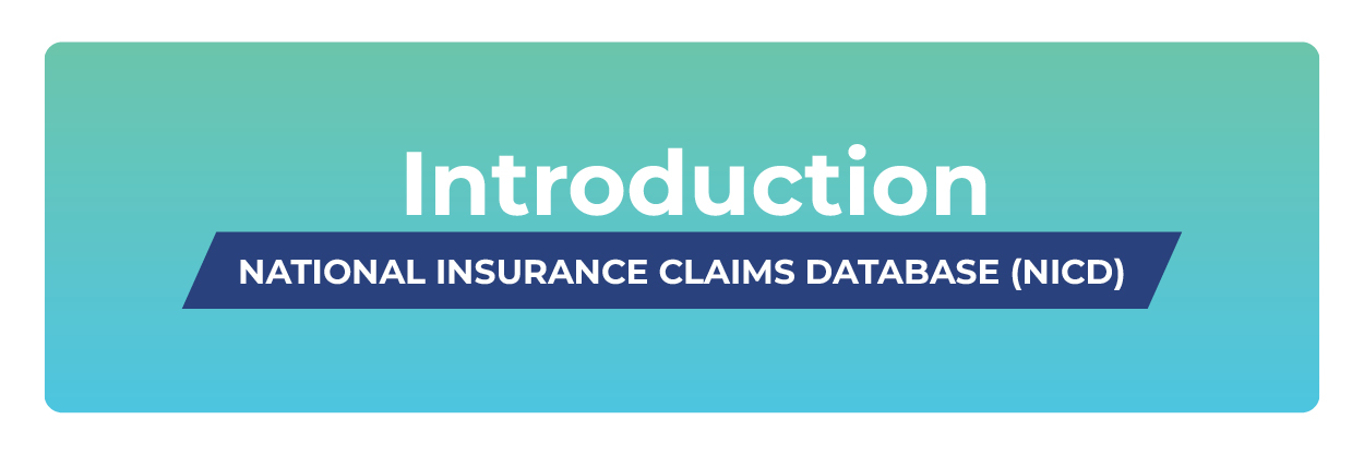 National Insurance Claims Database Implementation